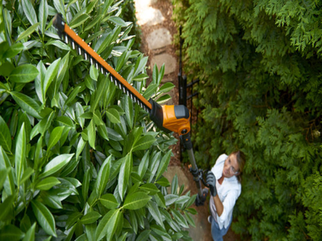 worx long reach hedge trimmer
