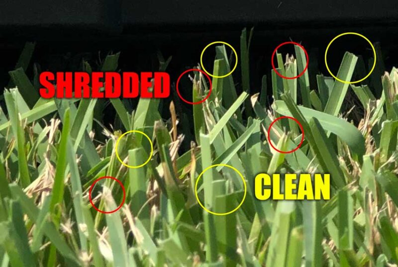 how lawn mower blade sharpness affects cut quality
