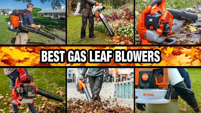 Best Gas Powered Leaf Blower Reviews for 2022