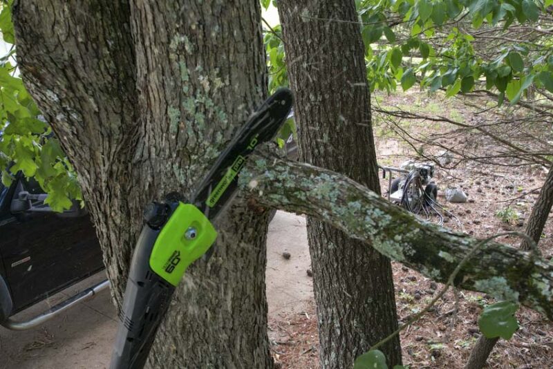 10-inch pole saw cutting branch