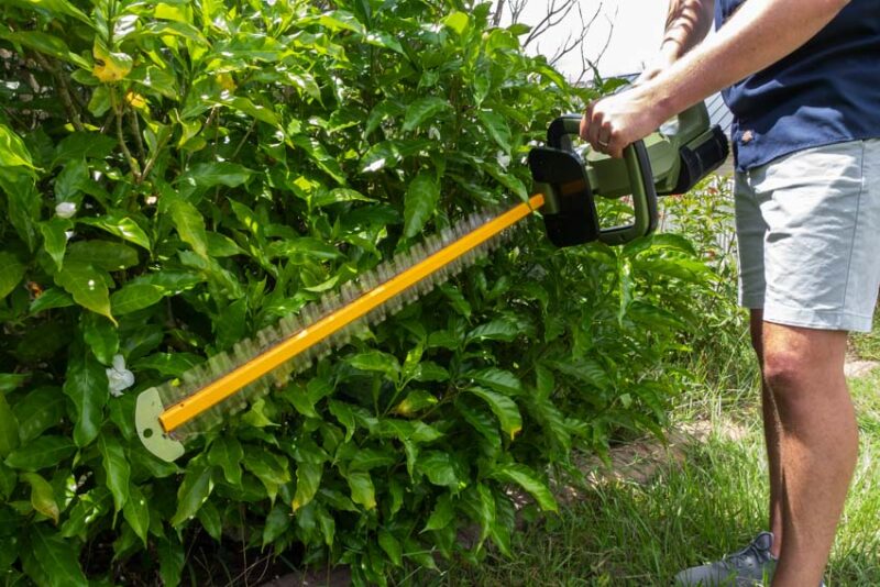 1-inch cut hedge capacity
