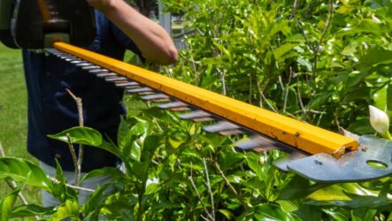 Green Machine 62V cordless hedge trimmer review