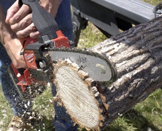 Hatchet 8-inch pruning saw cutting log
